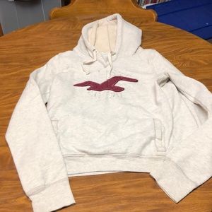 Hollister hoodie